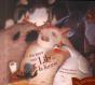 Une Lettre Pour Lily La Licorne - Preview