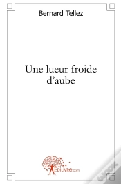 Capa do artigo Une Lueur Froide D
