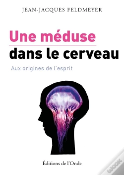 Capa do artigo Une Méduse Dans Le Cerveau ; Aux Origines De L'Esprit