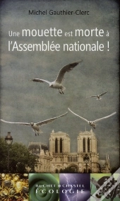 Une Mouette Est Morte