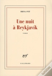 Une Nuit À Reykjavik