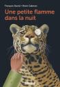 Une Petite Flamme Dans La Nuit - Preview