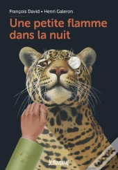 Une Petite Flamme Dans La Nuit
