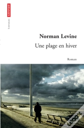 Une Plage En Hiver
