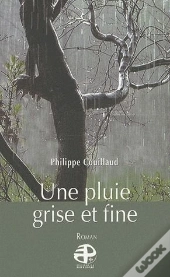 Une Pluie Grise Et Fine