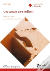 Une Sandale Dans Le Désert