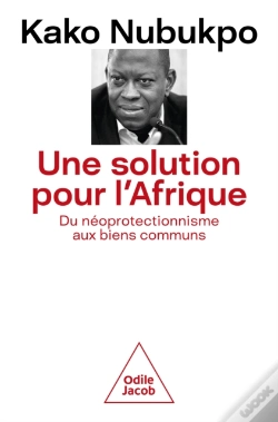 Capa do artigo Une Solution Pour L'Afrique