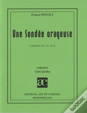 Capa do artigo Une Sondee Orageuse
