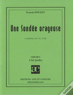 Capa do artigo Une Sondee Orageuse