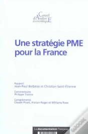 Capa do artigo Une Stratégie Pme Pour La France