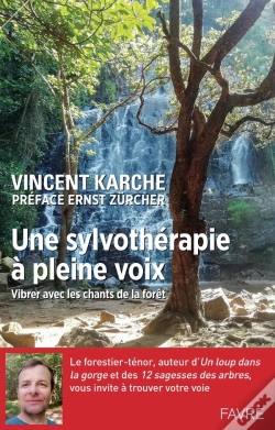 Capa do artigo Une Sylvothérapie À Pleine Voix : Vibrer Avec Les Chants De La Forêt