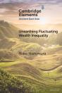 Unearthing Fluctuating Wealth Inequality - Preview