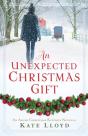 Unexpected Christmas Gift - Preview
