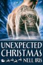 Unexpected Christmas - Preview