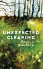 Unexpected Clearing - Preview