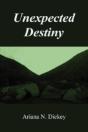 Unexpected Destiny - Preview