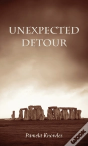 Capa do artigo Unexpected Detour