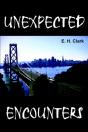 Unexpected Encounters - Preview