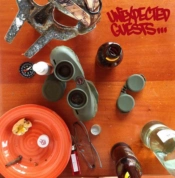 Capa do artigo Unexpected Guests - Vinil