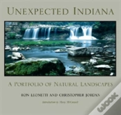 Capa do artigo Unexpected Indiana