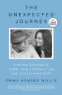 Unexpected Journey - Preview