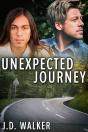 Unexpected Journey - Preview