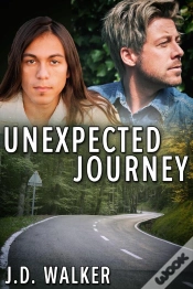 Capa do artigo Unexpected Journey