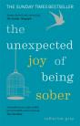 Unexpected Joy Of Being Sober - Preview