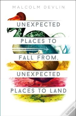 Capa do artigo Unexpected Places To Fall From, Unexpected Places To Land