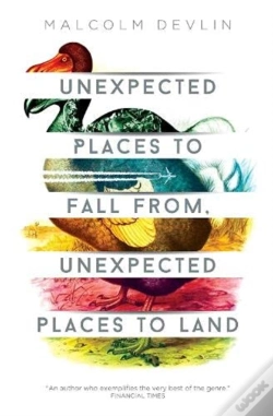 Capa do artigo Unexpected Places To Fall From, Unexpected Places To Land