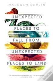Capa do artigo Unexpected Places To Fall From, Unexpected Places To Land