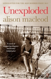Capa do artigo Unexploded