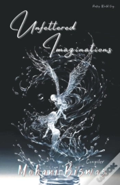 Capa do artigo Unfettered Imagination
