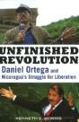 Unfinished Revolution - Preview