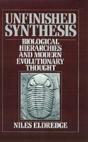 Unfinished Synthesis - Preview