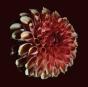 Unfolding - Vinil - Preview