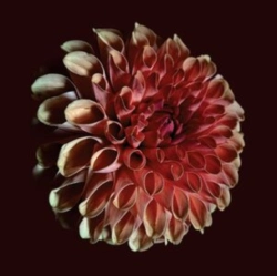 Capa do artigo Unfolding - Vinil