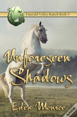 Capa do artigo Unforeseen Shadows