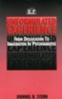 Unformulated Experience - Preview