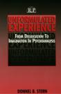 Unformulated Experience - Preview