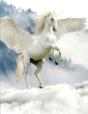 Unicorn Notebook - Preview