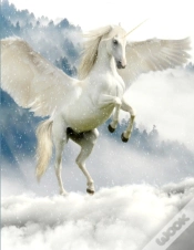 Capa do artigo Unicorn Notebook
