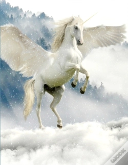Capa do artigo Unicorn Notebook