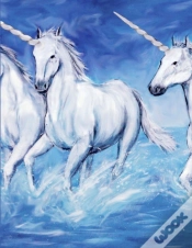 Capa do artigo Unicorn Notebook