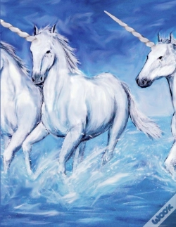 Capa do artigo Unicorn Notebook