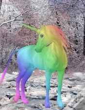 Capa do artigo Unicorn Notebook