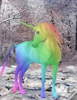 Capa do artigo Unicorn Notebook