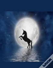 Capa do artigo Unicorn Notebook