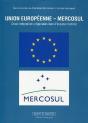Union Europeenne - Mercosul -  Deux Integrations Regionales Dans L'Espace Mondial - Preview