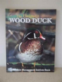 Unique Wood Duck - Preview